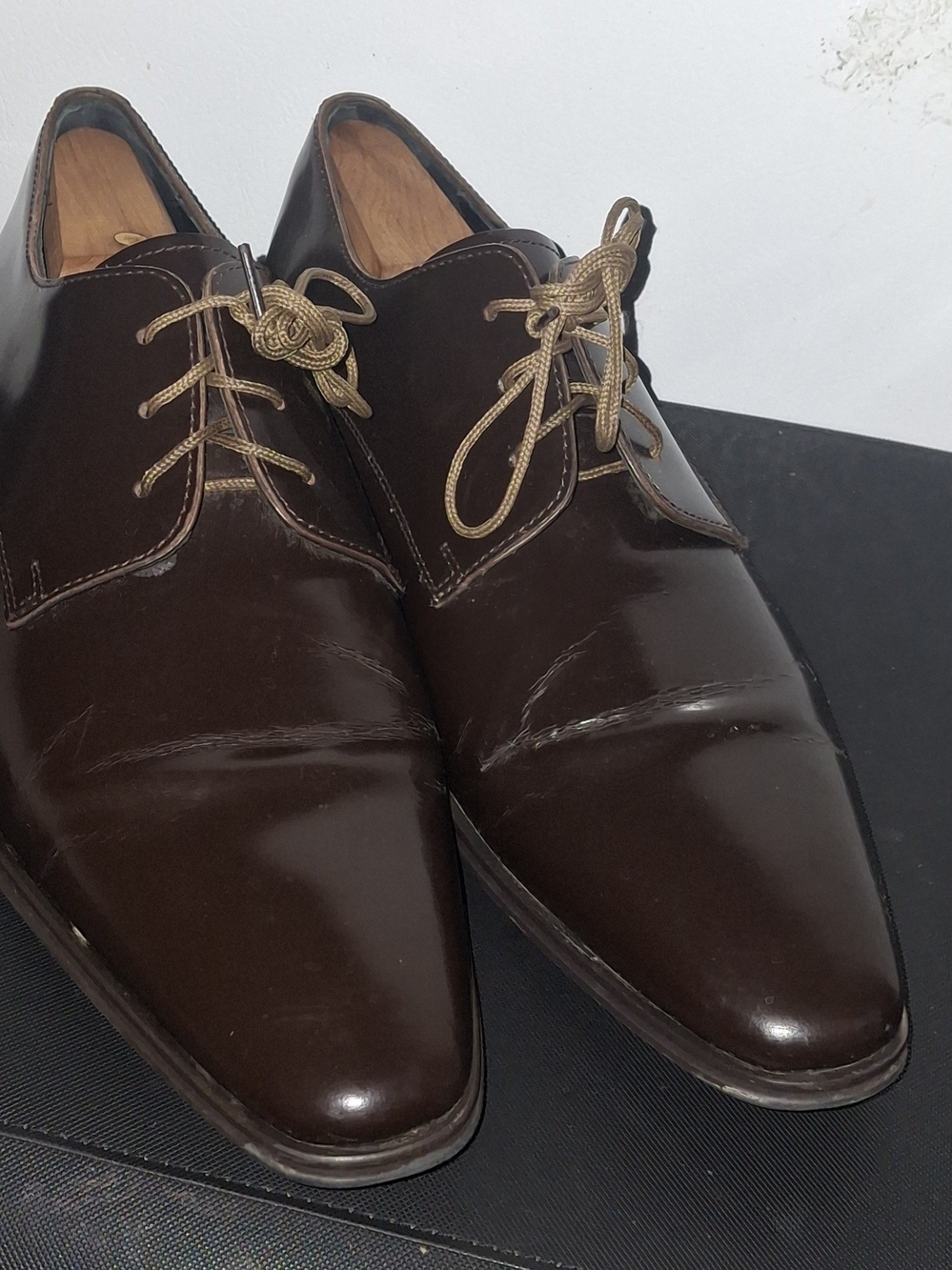 Versace Collection Dark Brown Leather Derby Shoes with Tan Laces